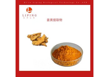姜黃素價格供應458-37-7姜黃素現貨植物提取