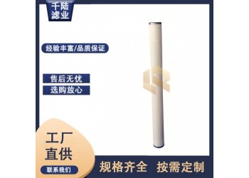 廠家替代 JPMG38243B-V-HR天然氣聚結(jié)過(guò)濾器濾芯