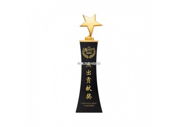 金屬水晶五角星獎(jiǎng)杯定制授權(quán)牌榮譽(yù)比賽優(yōu)秀員工金銀銅頒獎(jiǎng)獎(jiǎng)杯