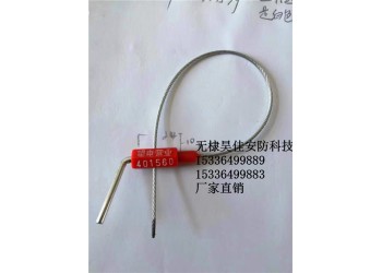 供應小搖把鉛封鎖 一次性施封鎖 廠家批發