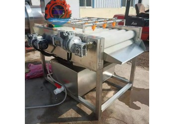 云南粽葉清洗機全自動筍葉清洗機毛輥式洗葦葉機器