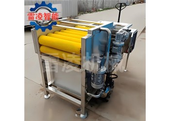 不銹鋼粽葉清洗機 芭蕉葉清洗機 粽葉去雜去泥設(shè)備