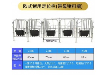 母豬限位欄 母豬落地式定位欄