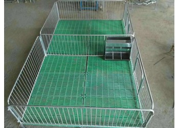 復合保育床仔豬保育床高培保育床
