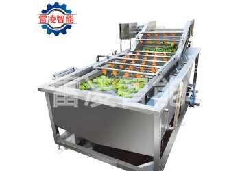 多功能果蔬清洗機 大棗清洗設(shè)備 凈菜加工流水線