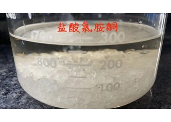 學術交流甲酸叔丁基酯去甲基K他命合成氯胺酮