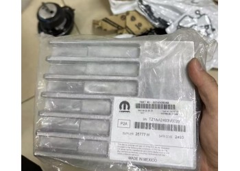 霸王龍功放 空調(diào)面板 氣囊模塊 雨刮連動桿 倒車鏡