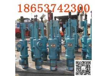 DT700整體直式電動推桿微型平行式電動推桿光滑度高密度高