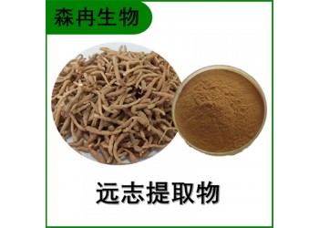 森冉生物 遠志提取物 葽繞提取物 比例提取原料粉