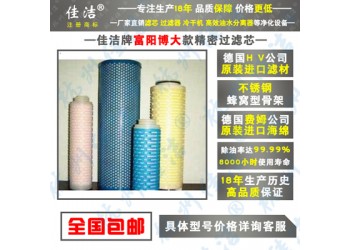 FYS型高效油水分離器 FYS-20 FYS-30