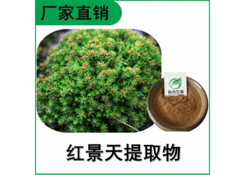 森冉生物 紅景天提取物 紅景天甙 植物提取原料粉