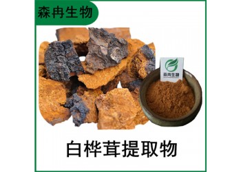 森冉生物 白樺茸提取物 樺褐孔菌提取物 白樺茸多糖