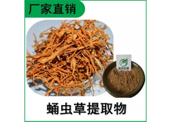 森冉生物 蛹蟲草提取物 蛹蟲草多糖 北蟲草提取物