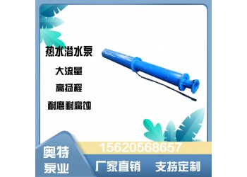 QJR地熱溫泉井用潛水泵 高溫防銹 可連續(xù)工作 長效穩(wěn)定